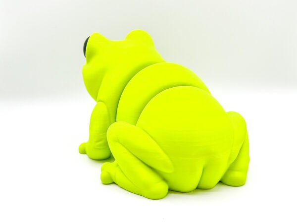 Jumbo Jello The Tree Frog - Image 2
