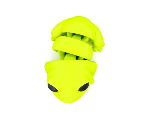 Jumbo Jello The Tree Frog - Image 3