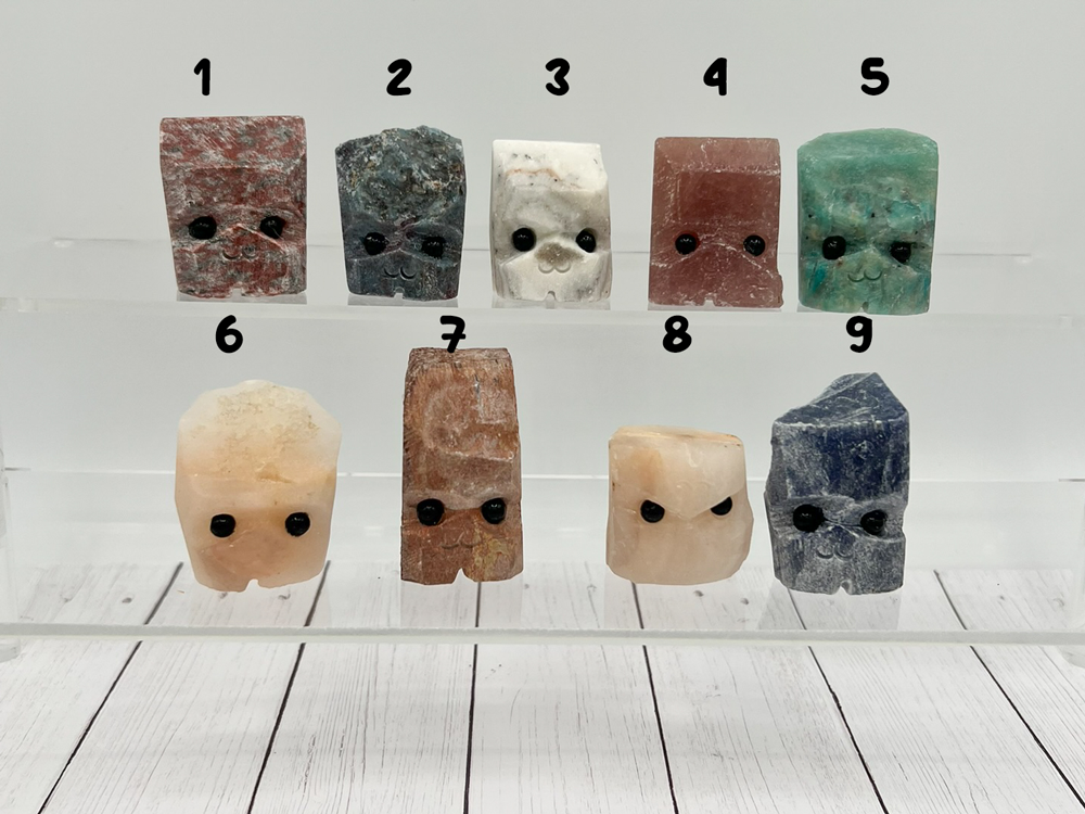 Pet Rock No Glasses