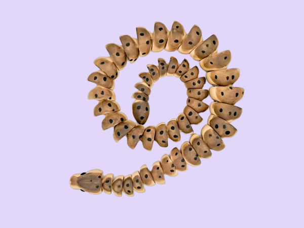 Slinkster The Snake - Image 3